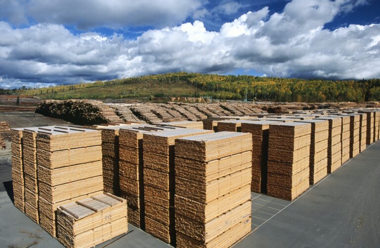 Credit: Michael Bednar, courtesy naturallywood.com